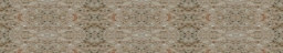Staron-053