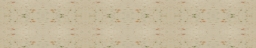 Staron-067